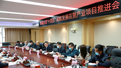 華潤水泥“十四五”戰略發展在賀產業項目推進會圓滿舉行，賀州政企合力共繪發展藍圖